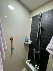 Blossom Residences (D23), Condominium #616453791